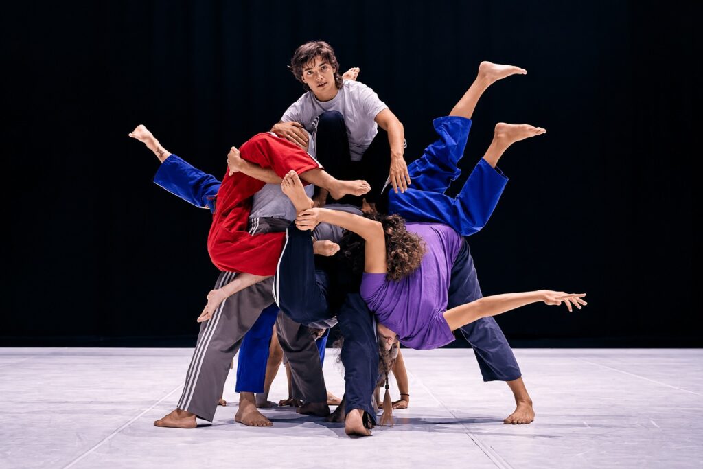 Faula (Mercat de les Flors / Temporada Alta)