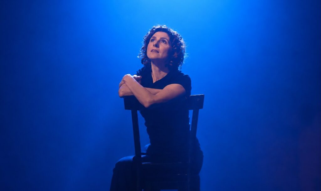 Pilar Capellades (Tu, jo... i vosaltres... i les cançons...)